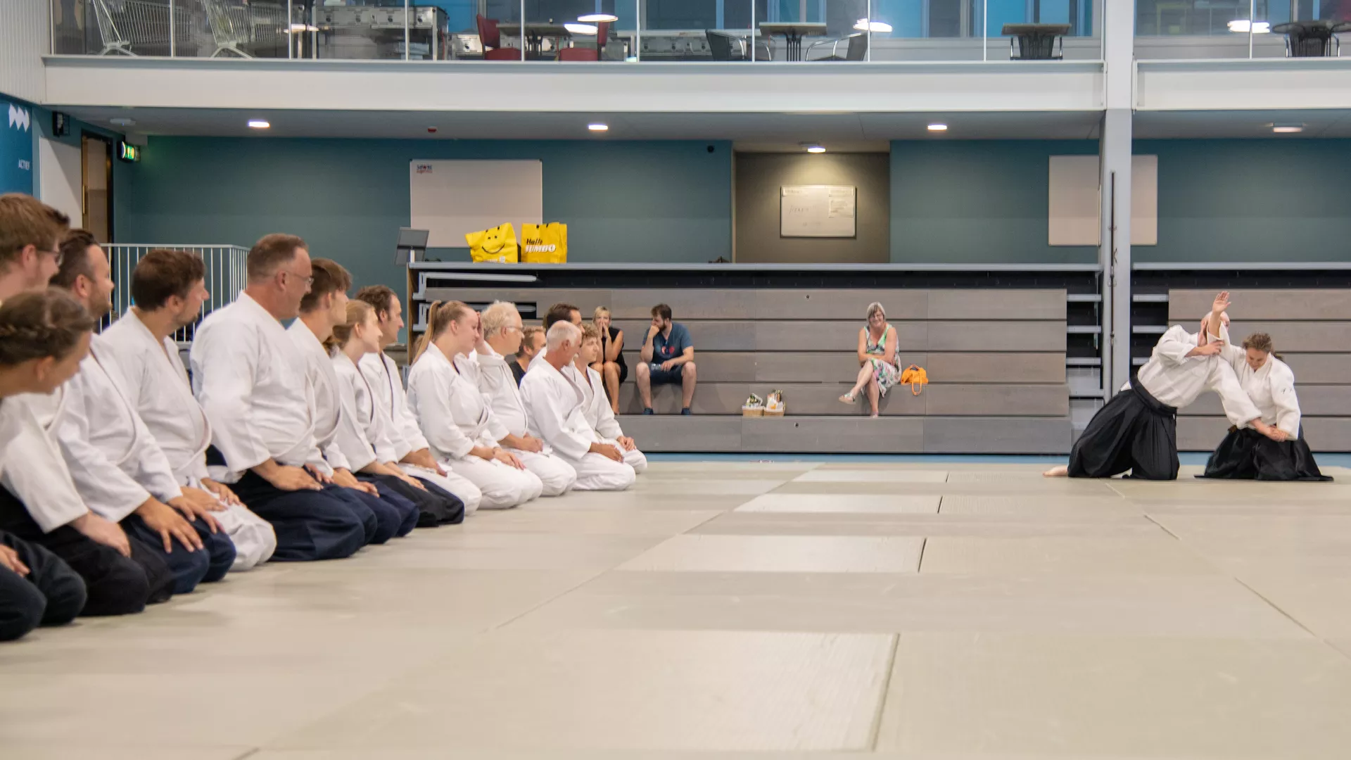 volwassen groep aikidoka's kijkt naar de uitvoering van een aikido techniek op de knieën gedaan door sensei Anne Slui 5e dan aikikai de Tokyo op lokatie Eindhoven.